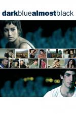 Film Všechny polohy lásky (Azuloscurocasinegro) 2006 online ke shlédnutí