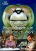Film Hmyz: Zázrak přírodního inženýrství (Insect Dissection: How Insects Work) 2012 online ke shlédnutí