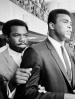 Film Muhammad Ali: Hrdina lidu (Muhammad Ali: The People's Champ) 2015 online ke shlédnutí