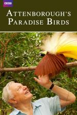 Film David Attenborough: Rajští ptáci (Attenborough's Paradise Birds) 2015 online ke shlédnutí