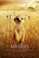 Film Surikaty (The Meerkats) 2008 online ke shlédnutí
