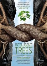 Film Inteligentní stromy (Intelligente Bäume) 2016 online ke shlédnutí