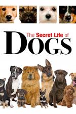 Film Tajný život psů (Secret Life of Dogs) 2013 online ke shlédnutí