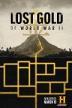 Film Ztracené zlato 2. světové války (Lost Gold of WW2) 2019 online ke shlédnutí