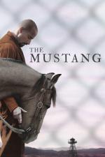 Film The Mustang (The Mustang) 2019 online ke shlédnutí