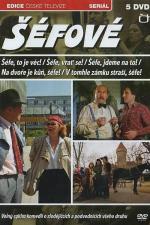 Film V tomhle zámku straší, šéfe! (V tomhle zámku straší, šéfe!) 1989 online ke shlédnutí