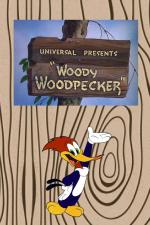 Film Woody Woodpecker (Woody Woodpecker) 1941 online ke shlédnutí