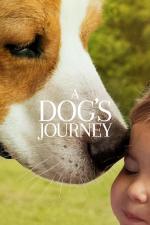 Film Psí poslání 2 (A Dog's Journey) 2019 online ke shlédnutí