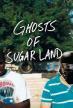 Film Ztracené duše (Ghosts of Sugar Land) 2019 online ke shlédnutí