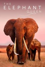 Film Sloní královna (The Elephant Queen) 2018 online ke shlédnutí
