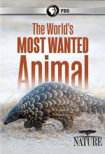 Film Luskoun: Nejžádanější zvíře světa (Natural World: Pangolins - The World's Most Wanted Animal) 2018 online ke shlédnutí