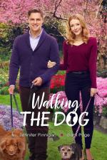 Film Cyklostezka k lásce (Walking the Dog) 2017 online ke shlédnutí