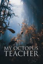 Film Moje učitelka chobotnice (My Octopus Teacher) 2020 online ke shlédnutí