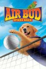 Film Můj pes Buddy V (Air Bud: Spikes Back) 2003 online ke shlédnutí
