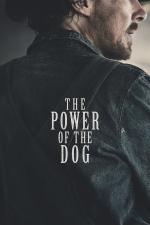 Film Síla psa (The Power of the Dog) 2021 online ke shlédnutí