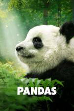 Film Pandas (Pandas) 2018 online ke shlédnutí