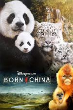 Film Zrozeni v Číně (Born in China) 2016 online ke shlédnutí