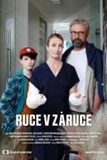 Film Ruce v záruce (Ruce v záruce) 2022 online ke shlédnutí