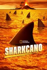 Film Sharkcano (Sharkcano) 2020 online ke shlédnutí