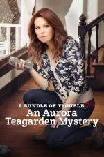Film Skutečné vraždy: Záhadné zmizení (A Bundle of Trouble: An Aurora Teagarden Mystery) 2017 online ke shlédnutí