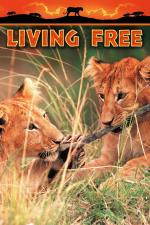 Film Divočina patří lvům (Living Free) 1972 online ke shlédnutí