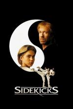 Film Mistr kickboxu (Sidekicks) 1992 online ke shlédnutí