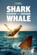 Film Žralok versus keporkak (Shark Vs Whale) 2020 online ke shlédnutí
