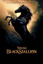 Film Mladý černý hřebec (Mládí černého hřebce) 2003 online ke shlédnutí