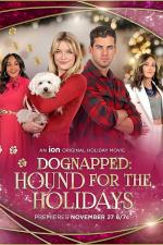Film Pes na Vánoce (Dognapped: Hound for the Holidays) 2022 online ke shlédnutí