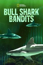 Film Žraločí banditi (Bull Shark Bandits) 2023 online ke shlédnutí