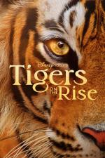 Film Tygři na vzestupu (Tigers on the Rise) 2024 online ke shlédnutí