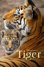 Film Tygři (Tiger) 2024 online ke shlédnutí