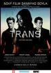 Film Trans (Trance) 2013 online ke shlédnutí