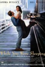 Film Zatímco jsi spal (While You Were Sleeping) 1995 online ke shlédnutí