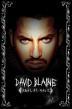 Film David Blaine: Real or Magic (David Blaine: Real or Magic) 2013 online ke shlédnutí