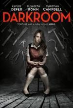Film Darkroom (Darkroom) 2013 online ke shlédnutí