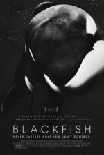 Film Černý zabiják (Blackfish) 2013 online ke shlédnutí