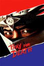 Film Modlitba smrti (Pray for Death) 1985 online ke shlédnutí