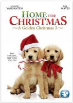 Film A Golden Christmas 3 (A Golden Christmas 3) 2012 online ke shlédnutí