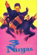 Film Tři stateční (3 Ninjas) 1992 online ke shlédnutí