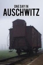 Film Jeden den v Osvětimi (One Day in Auschwitz) 2015 online ke shlédnutí