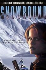Film Ve sněžné pasti (Snowbound) 2001 online ke shlédnutí