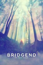 Film Bridgend (Bridgend) 2015 online ke shlédnutí