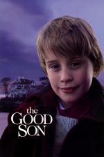 Film Dobrý synek (The Good Son) 1993 online ke shlédnutí