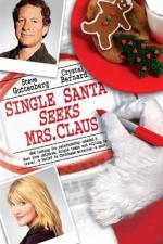 Film Santa hledá ženu (Single Santa Seeks Mrs. Claus) 2004 online ke shlédnutí