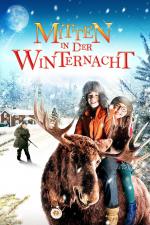 Film Příběh Vánoční noci (Midden in De Winternacht) 2013 online ke shlédnutí