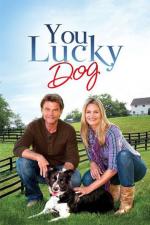 Film Štěstí jménem Lucky (Family Gathering) 2010 online ke shlédnutí