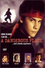 Film Nebezpečné místo (A Dangerous Place) 1995 online ke shlédnutí