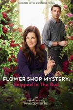 Film Záhada v květinářství: Utnuto v počátku (Flower Shop Mystery: Snipped in the Bud) 2016 online ke shlédnutí