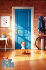 Film Tajný život mazlíčků 3 Mini-Movies (The Secret Life of Pets 3 Mini-Movies) 2016 online ke shlédnutí